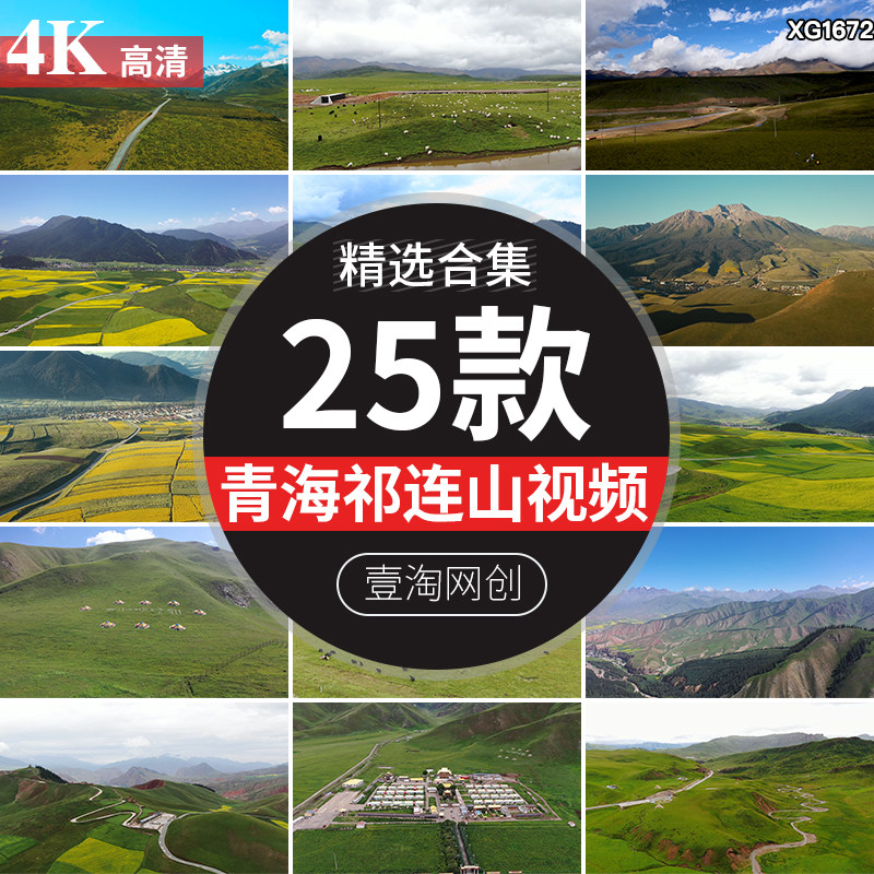 青海祁连山油菜花田自然景观风光雪山脉草原牧场风景航拍视频素材