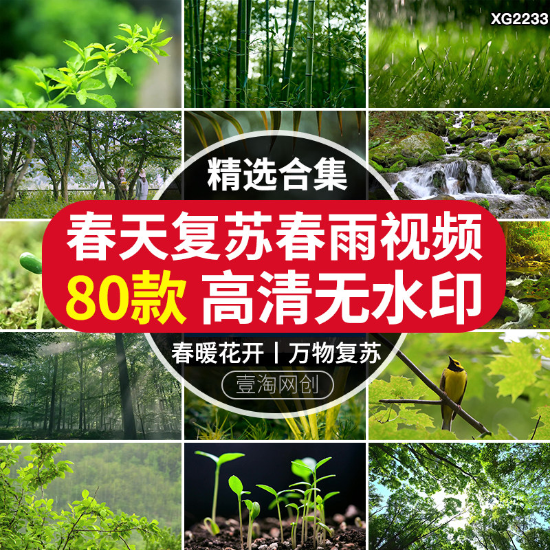 春天花开万物复苏植物发芽唯美清新树林阳光小鸟春雨实拍视频素材