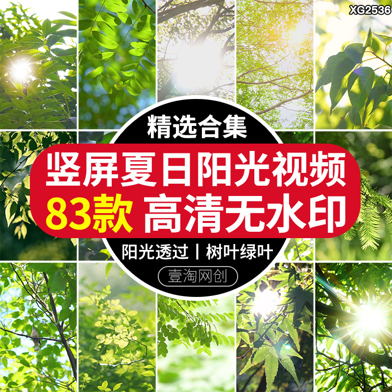 竖屏夏日阳光透过树叶绿叶空镜头夏天绿树小清新实拍高清视频素材