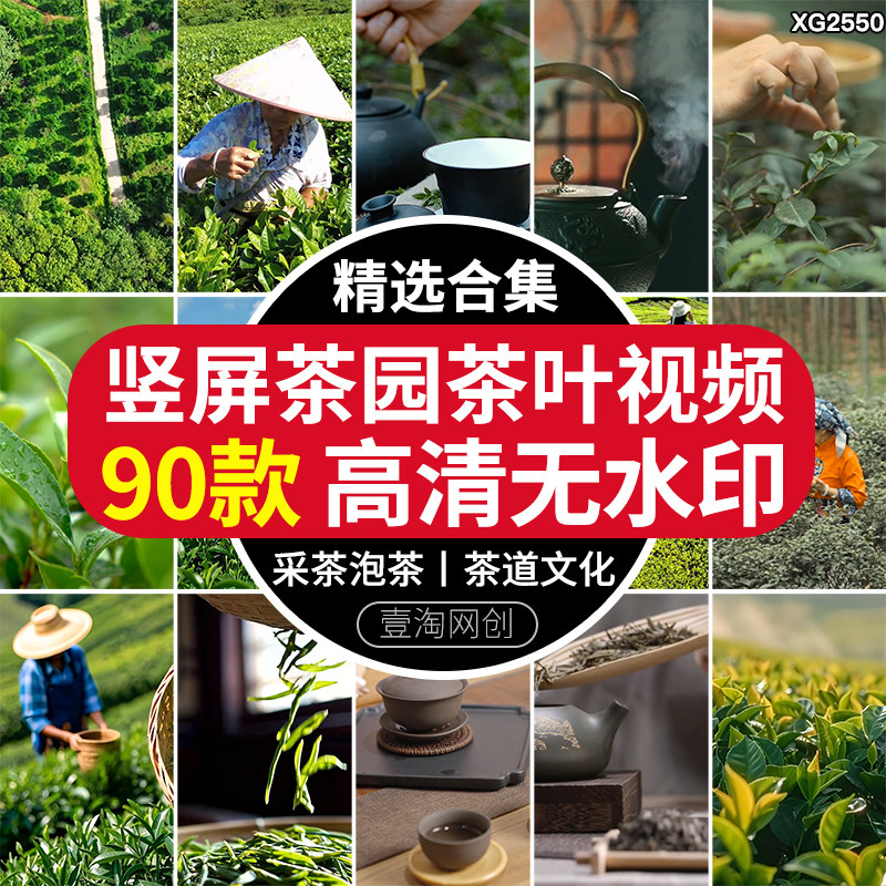 竖屏茶园茶叶特写绿茶茶山茶场茶农采摘采茶冲泡茶道高清视频素材