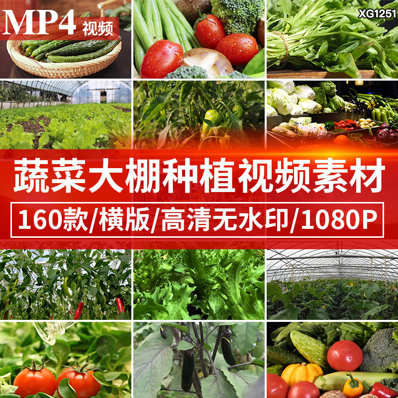 蔬菜水果种植大棚生态健康农产品农业有机蔬菜餐饮食材短视频素材