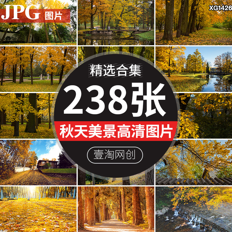 秋季秋天深秋红叶银杏枫叶落叶树林小路道路自然美景风景高清图片