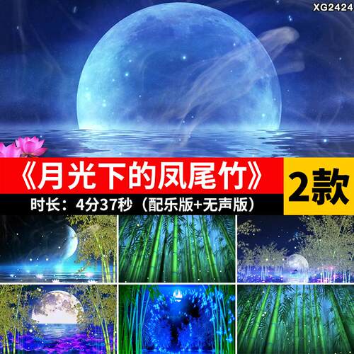 月光下的凤尾竹 月色月亮竹林竹子云南傣族葫芦丝LED背景视频素材