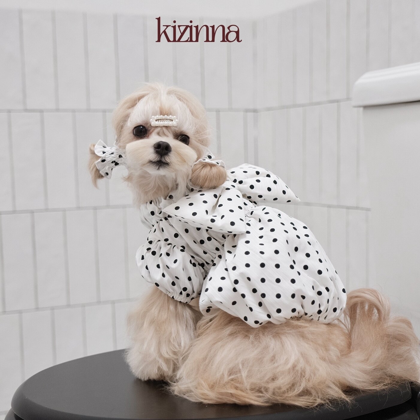 kizinna｜怪诞波点控 立体出片蝴蝶结南瓜蓬蓬连衣裙 猫咪狗服饰