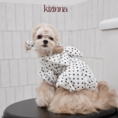 kizinna｜怪诞波点控 猫咪狗服饰 立体出片蝴蝶结南瓜蓬蓬连衣裙