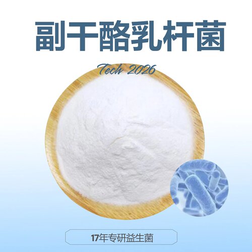 益生菌冻干粉副干酪乳杆菌活性益生菌纯粉原料500克包邮