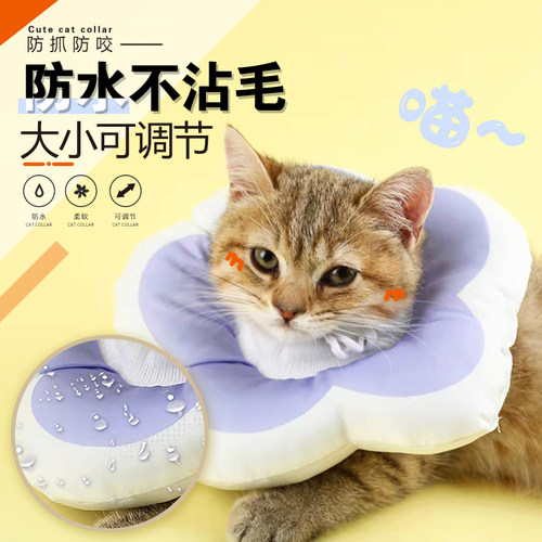 猫咪头套绝育幼猫防水伊利沙白猫