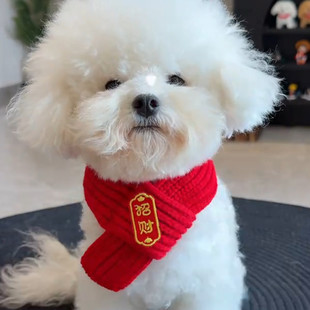 猫咪新年围巾宠物围脖红色保暖冬季小狗狗围巾喜庆可爱配饰装饰品