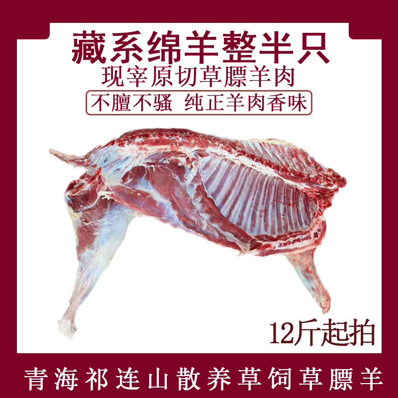 半只羊新鲜屠宰青海祁连山散养草饲藏系绵羊排羊前腿羊后腿羊蝎子