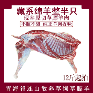 半只羊新鲜屠宰青海祁连山散养草饲藏系绵羊排羊前腿羊后腿羊蝎子