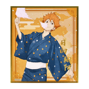 暴蒙正版 排球少年 烫金色纸 日向翔阳 影山飞雄 及川彻官谷