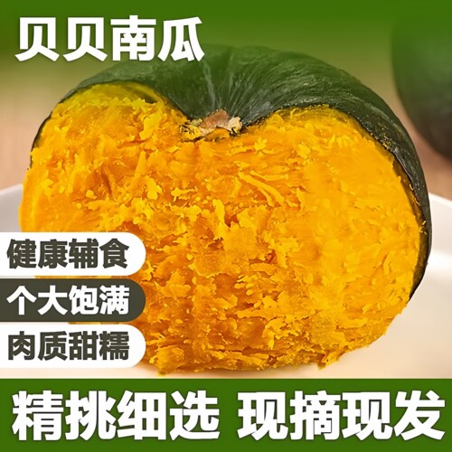 贝贝南瓜正宗板栗味小南瓜新鲜粉糯老南瓜香甜婴幼儿辅食粉糯香甜
