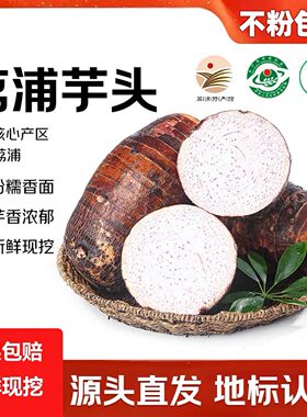 发顺丰正宗广西荔浦芋头新鲜香芋