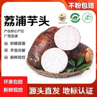 【顺丰包邮】正宗广西荔浦芋头新鲜产地现挖香芋槟榔芋头粉糯商用