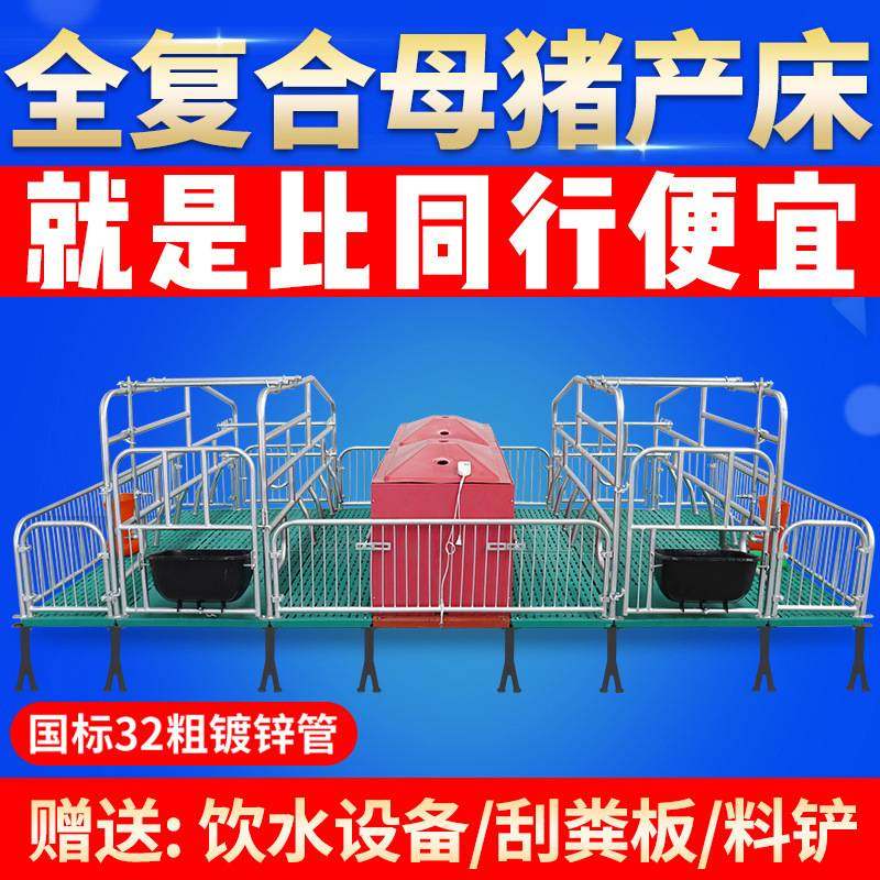 母猪产床国标32粗产保一体两用产床全复合定限位栏保育床养猪设备