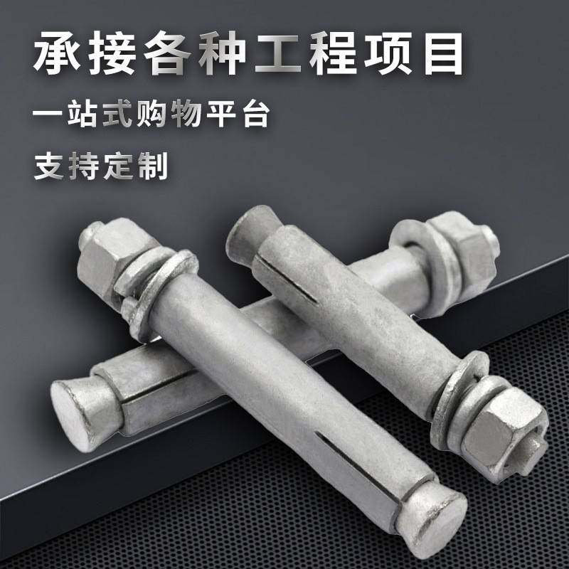 热镀锌热浸锌膨胀螺丝膨胀螺栓拉爆炸螺钉M6-M12