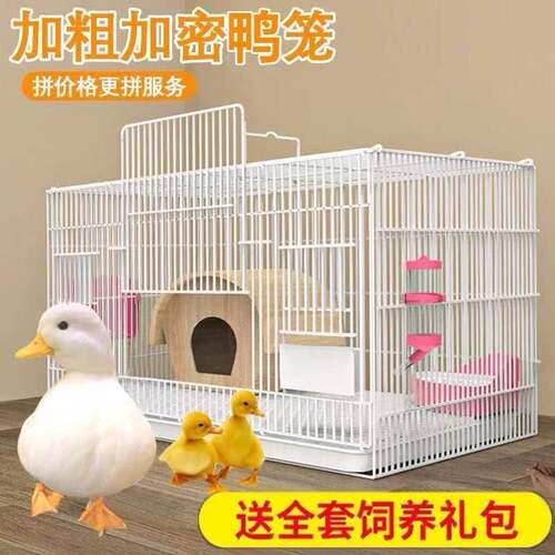 柯尔鸭专用笼防臭加密