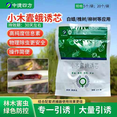 中捷四方小木蠹蛾诱芯诱捕器