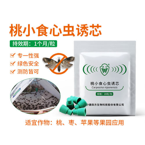 中捷四方诱尔桃食心虫梨树