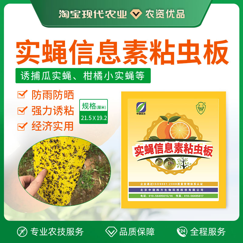 中捷四方诱尔实蝇针蜂信息素粘虫板实蝇板