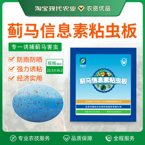 中捷四方蓟马性诱剂信息素粘虫板果树蔬菜大棚通用
