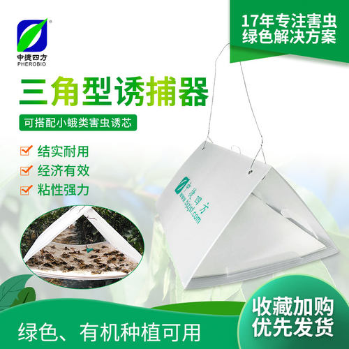 中捷四方三角昆虫信息素