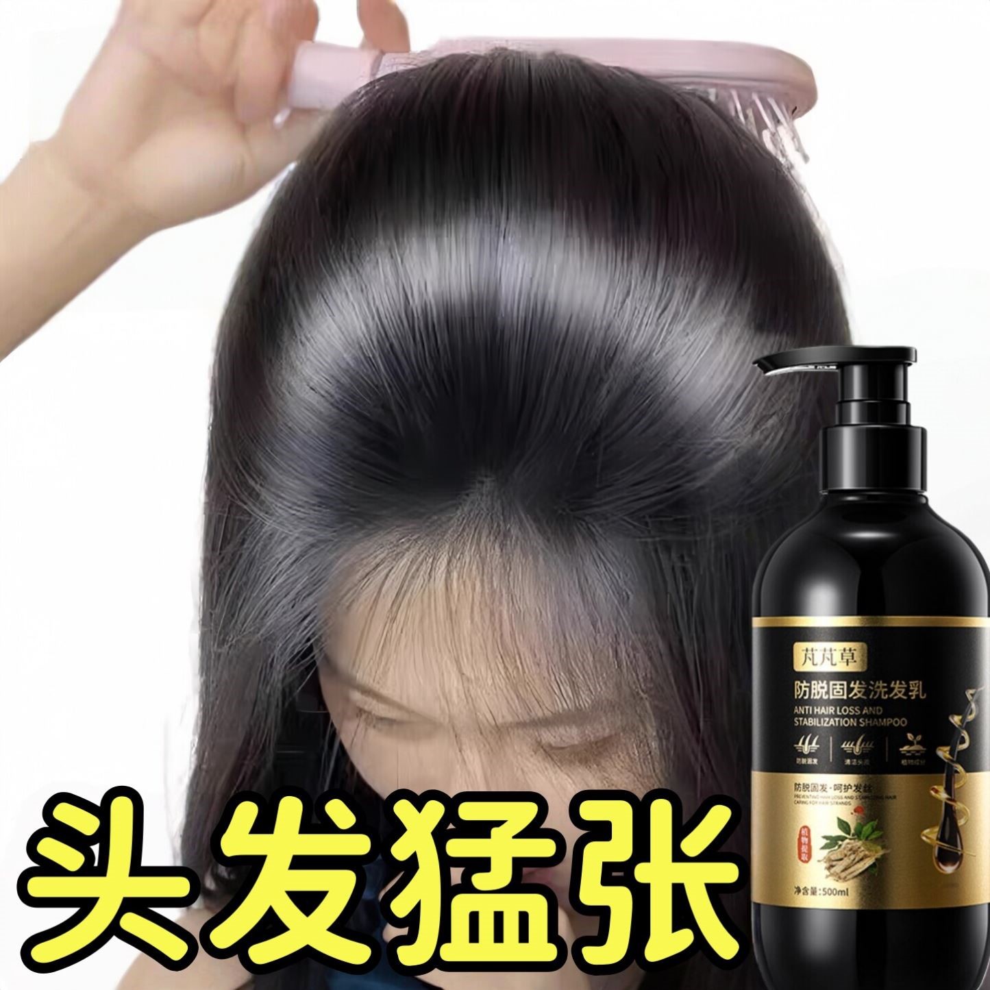 侧柏叶生姜洗发水增防控油蓬松去屑痒发固何首乌脱洗发乳发男女士