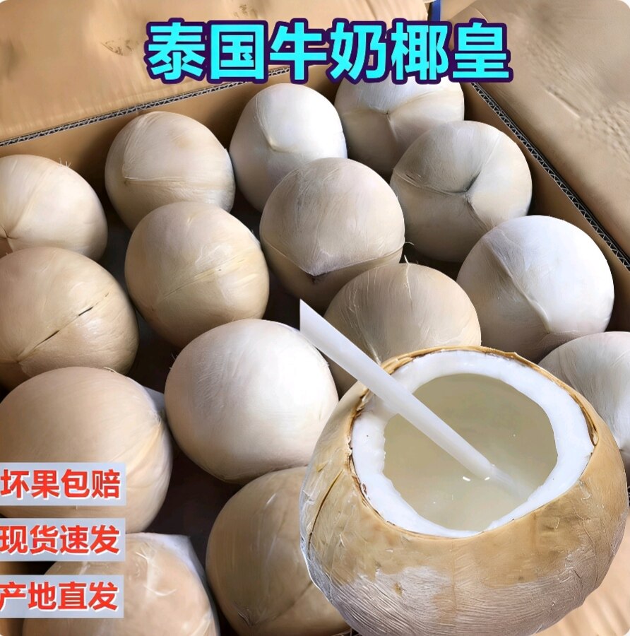 泰国牛奶椰皇当季丹嫩沙多椰子新鲜水果孕妇单果6个装现货速发