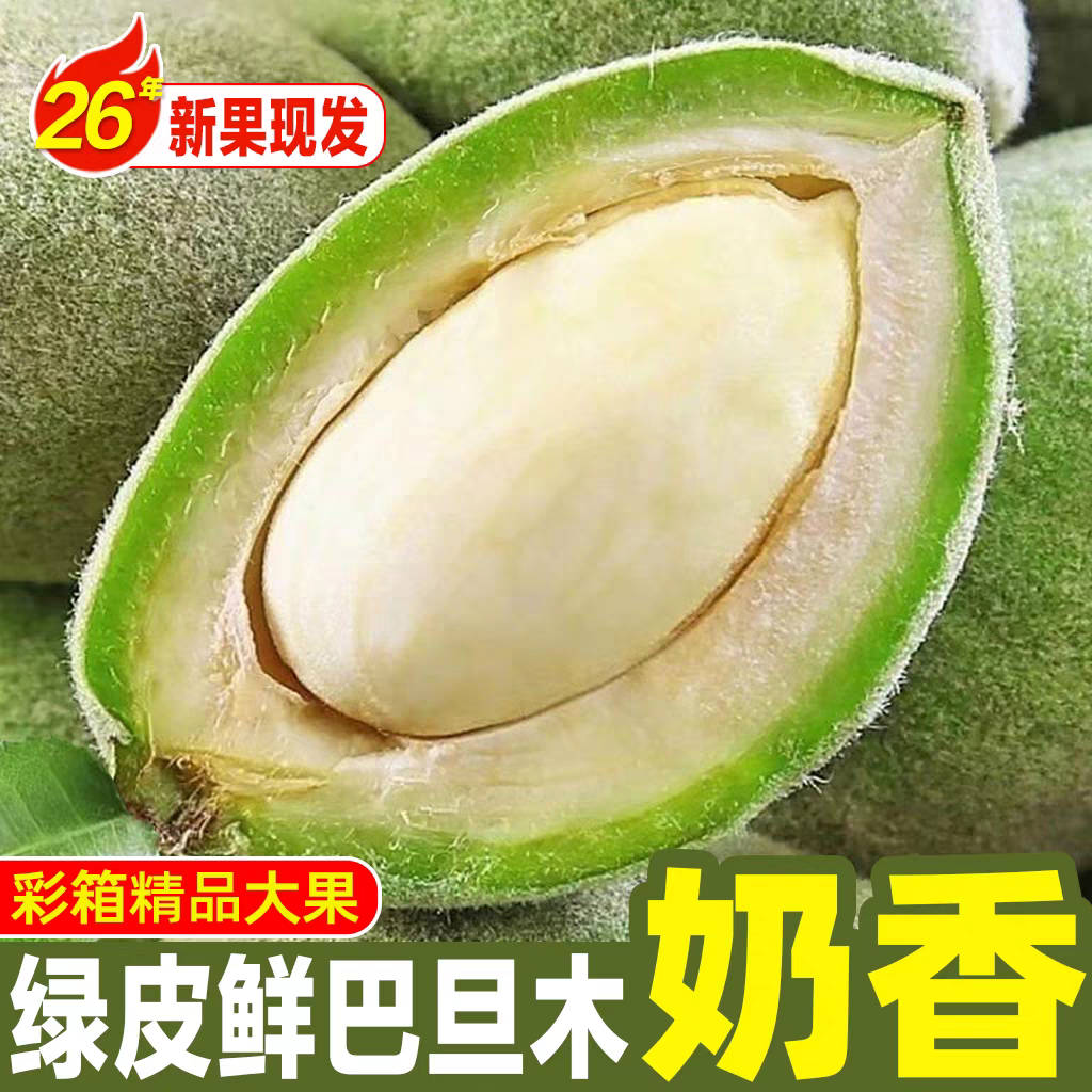 新鲜采摘青皮巴旦木原味大杏仁包邮当季新鲜2026年松鼠鲜果巴旦木