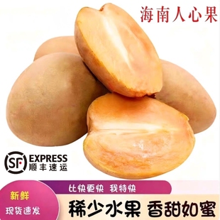 现摘人心果5斤新鲜应当季孕妇水果热带仙人果人参果特产现货速发