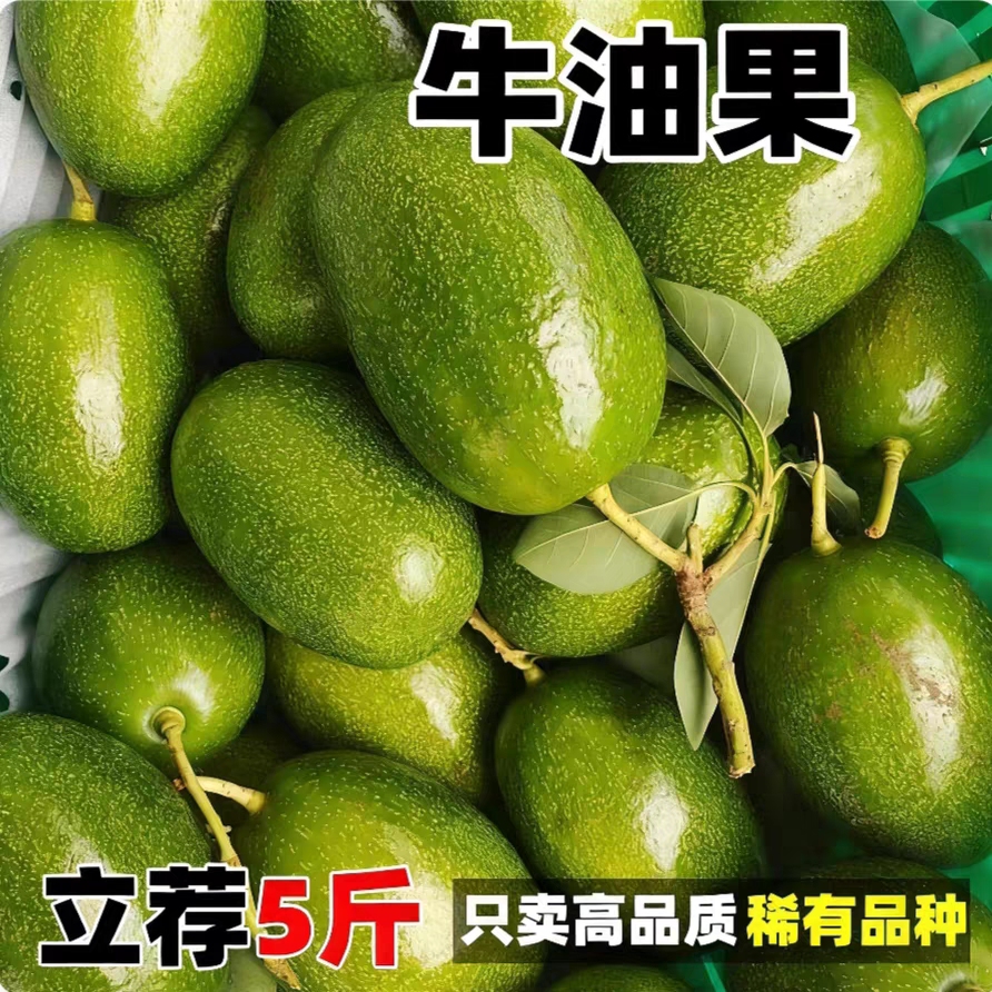 广西牛油果新鲜现摘应当季国产水果非哈斯大果熟透即食整箱包邮