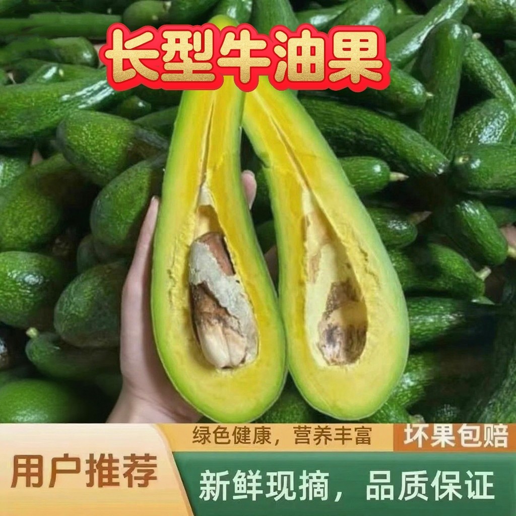 牛油果新鲜水果当季现摘