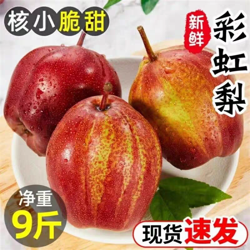 陕西新鲜彩虹梨酥梨水果早酥梨脆甜红皮薄皮鲜果梨子9斤整箱包邮