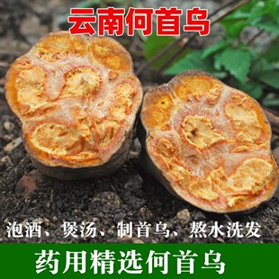 新鲜何首乌中药材正品云南雌雄同体大首乌生鲜制首乌深山野货食用