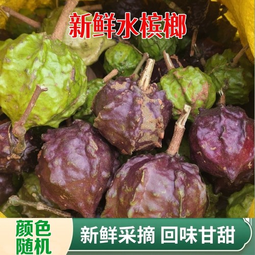 云南特产水槟榔马槟榔屈头鸡 新鲜现采稀有野果 当季鲜果速发