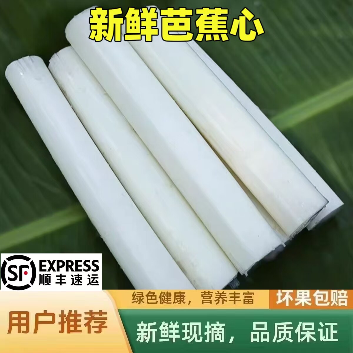 新鲜现摘天然野生芭蕉杆啦丝芭蕉心香蕉杆茎心 蕉茎干心3斤装包邮