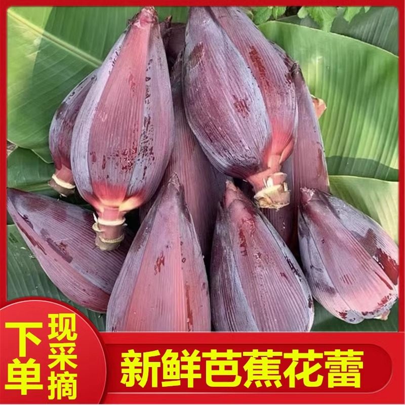 广西新鲜野生芭蕉花香蕉花价格实惠食用绿色蔬菜当天采摘发货芭蕉