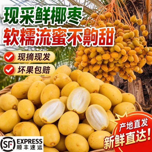【顺丰】新鲜椰枣鲜果当季孕妇水果枣子大果新疆特产现摘黄皮脆甜