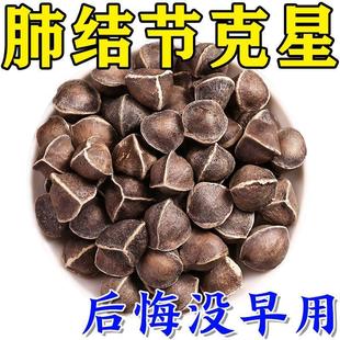 肺结节散节结茶消除的清肺润肺养肺去磨玻璃结节特效中成特茶饮