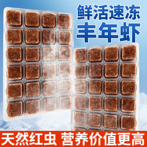 冷冻丰年虾成虫鱼苗幼鱼开口饲料