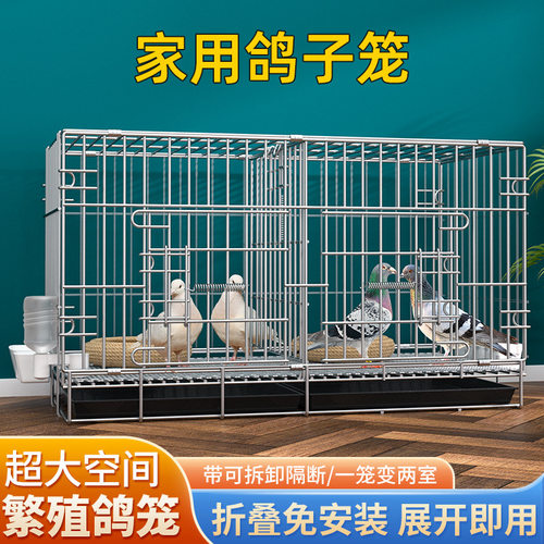 鸽子笼养鸽子专用笼养殖笼家用