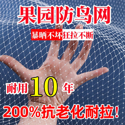 德国防鸟专用网菜园果树园尼龙线小鸟罩阳台樱桃树嘉宝果鱼塘天网