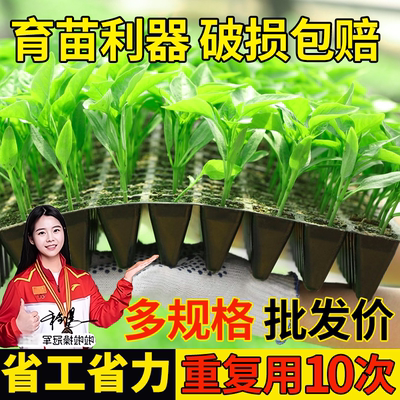 育苗盘穴盘扦插蔬菜加厚秧盘