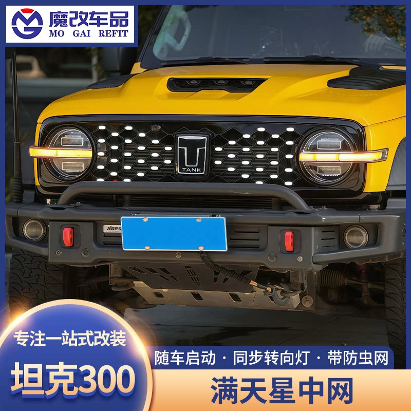 坦克300满天星中网带灯日行灯发光车标Hi4T防虫网外观改装配件