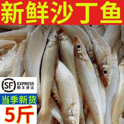 青岛海捕沙丁鱼商用烧烤海鲜食材