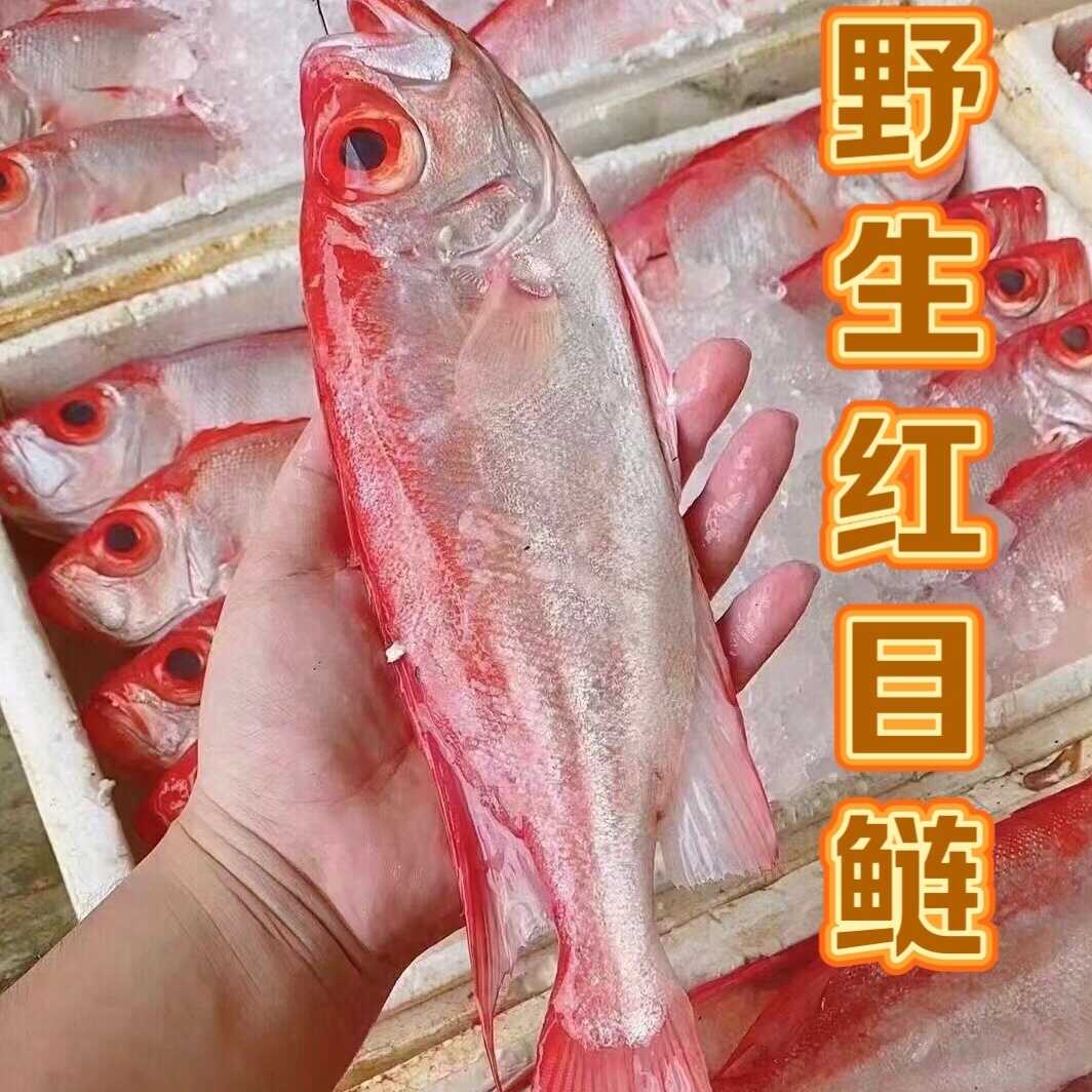 2024红目鲢深海捕捞大眼鲷鱼