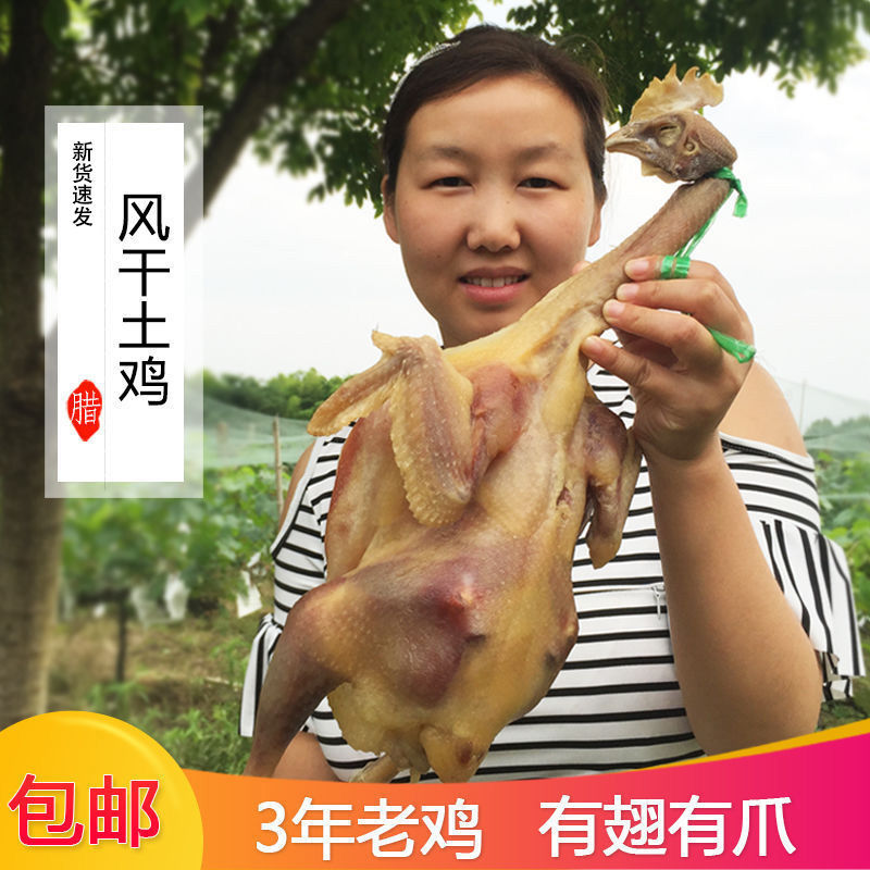 包邮新货新鲜腊鸡子风干鸡咸鸡农家手工腌制散养土鸡盐水鸡腊味