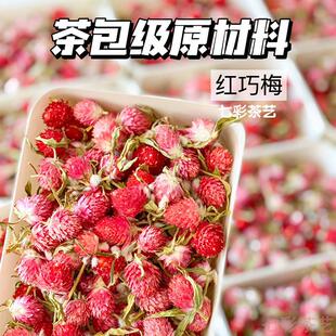 新货红巧梅500g红巧梅干花正品散装另售千日红另售特级花茶花草茶