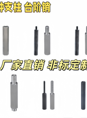 六角支柱RBJ21 22 23 26 31 32 33 36 S8 10 12 13 27A螺纹销L MN