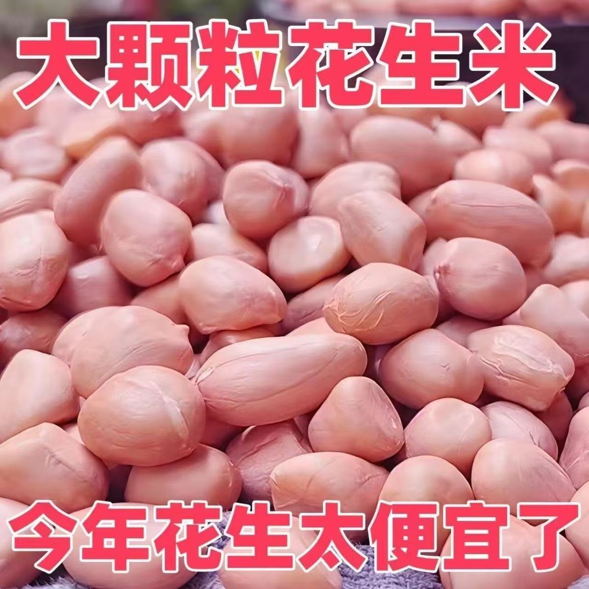 5斤【大颗粒批发】2025年新鲜东北大白沙花生米农家自产种植